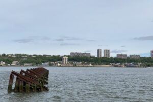 IMG_1280